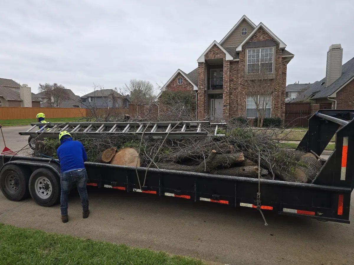 Expert Tree Fertilization with proper safety equipment in Fort Riley